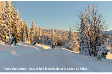 Piste ski de fond Schlucht-Gazon du Faing Dominick Constantin